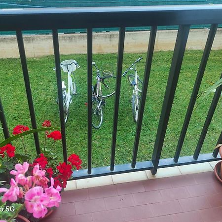Ani Lejlighed Porto SantʼElpidio Eksteriør billede